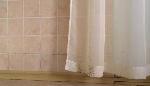 Best Dehumidification Services  in Oxford, GA