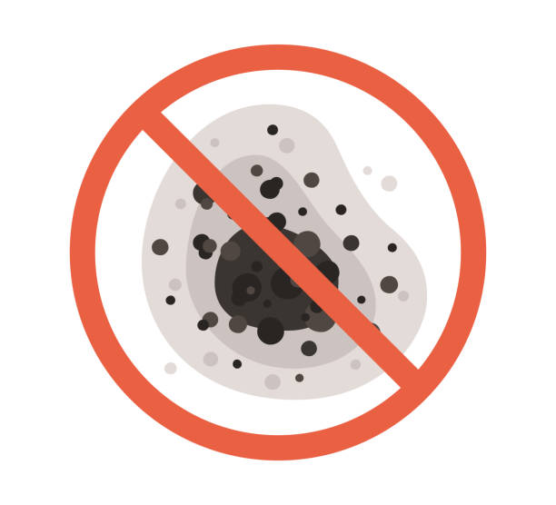 Best Environmental Consulting for Mold Prevention  in Oxford, GA